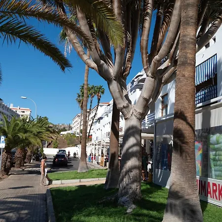 Cristianos Pool & Sun