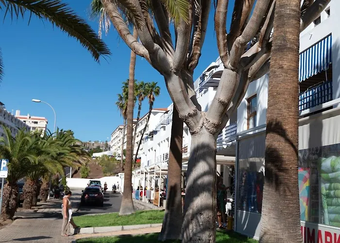 Cristianos Pool & Sun